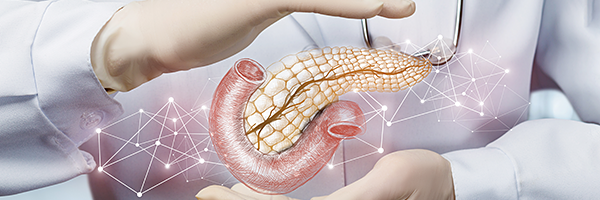 PancreasXPERT PancreasXPERT